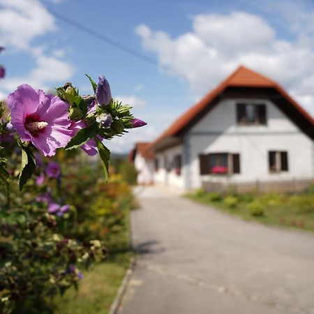 House Of Culture And Nature - Hisa Kulture In Nature Zagradec Dış mekan fotoğraf