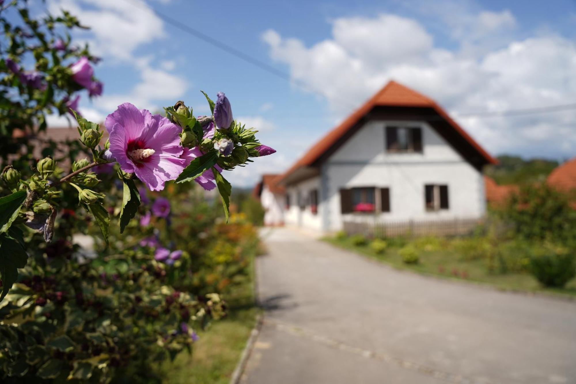House Of Culture And Nature - Hisa Kulture In Nature Zagradec Dış mekan fotoğraf